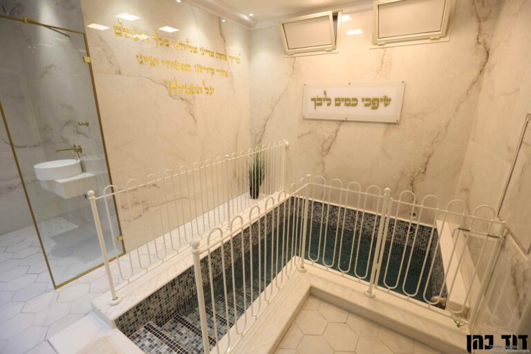 צילום: דוד כהן