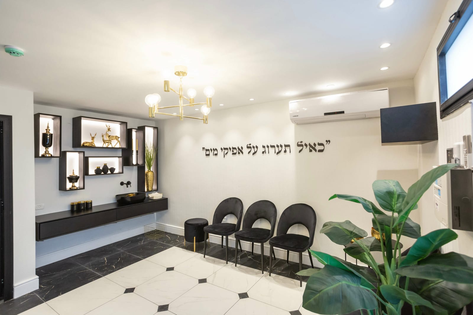 גני תקוה אחרי (8)