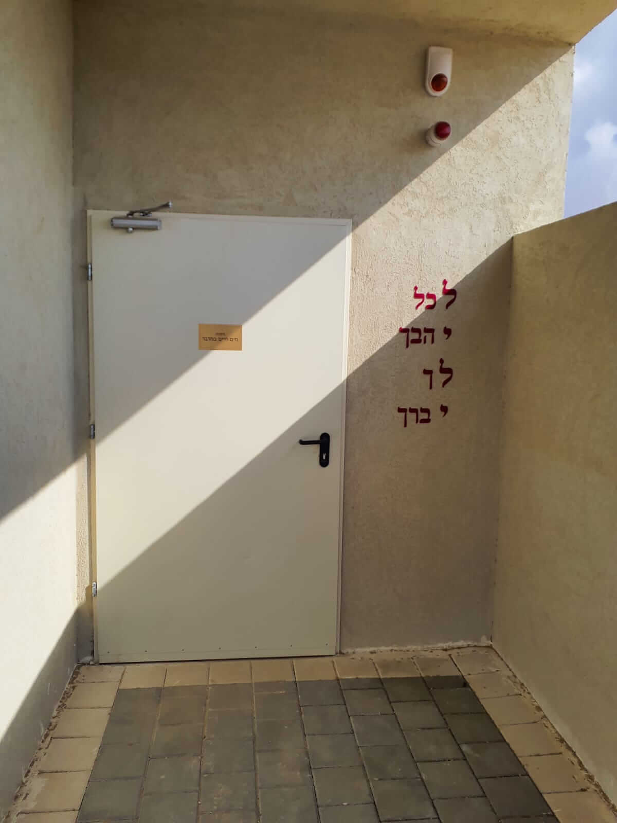 ניצנה אחרי (8)